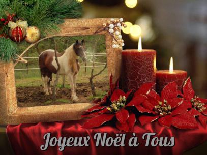 Tanka et ces Copains Vous souhaite de Joyeuses Fêtes et un Immense Merci à tout Ceux qui nous Aide. Des Gros Bisous